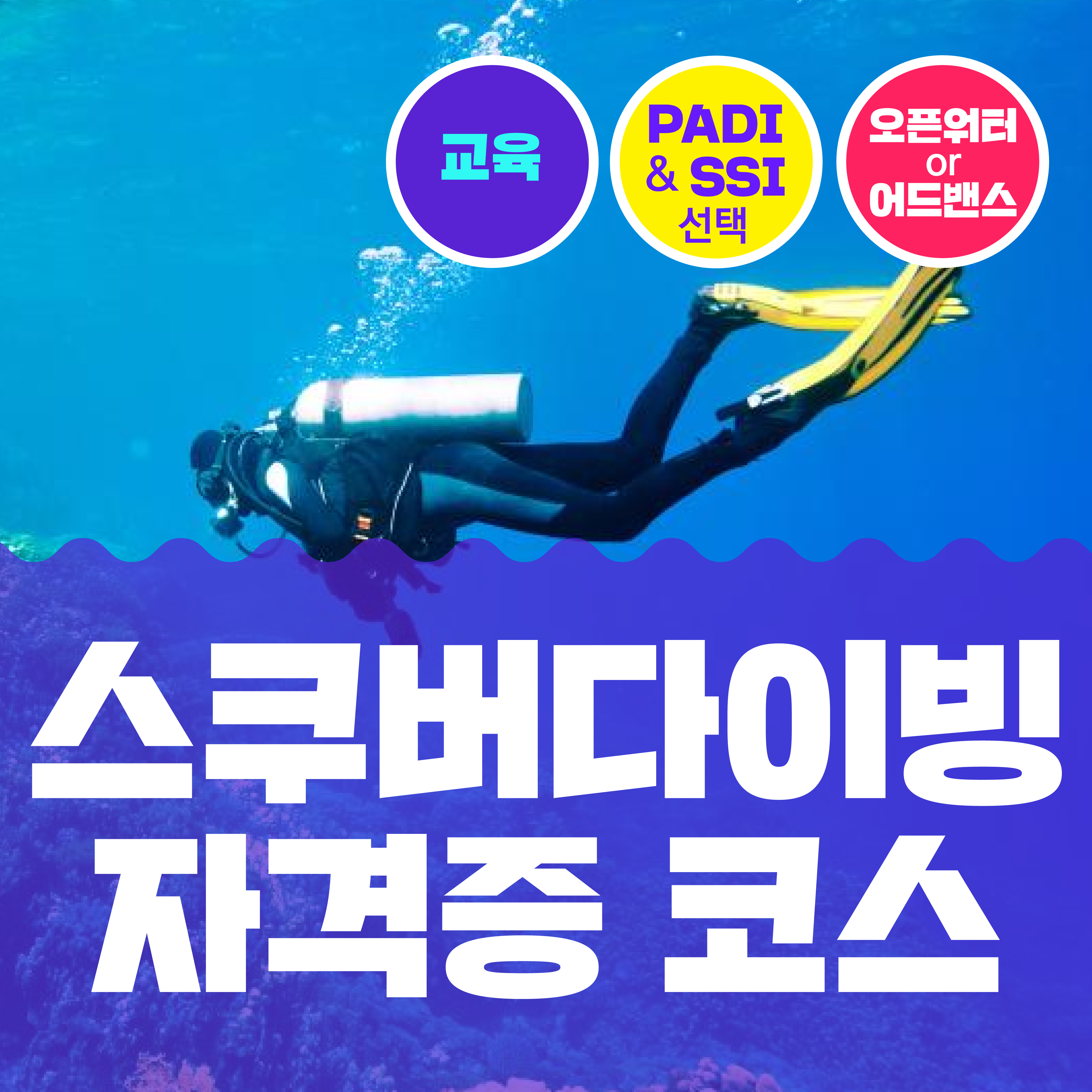 PADI&SSI 자격증코스) 스쿠버다이빙 교육